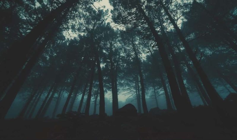 Angst - Niritya & Tom, Heilpraktiker für Psychotherapie, informieren über Angststörungen und ihre Therapie 