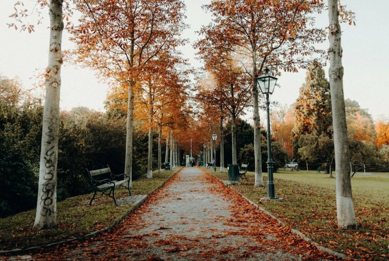 Zwangsstörungen: Niritya und Tom, Heilpraktiker für Psychotherapie in Saarbrücken, informieren über Zwänge und mögliche Therapie-Ansätze