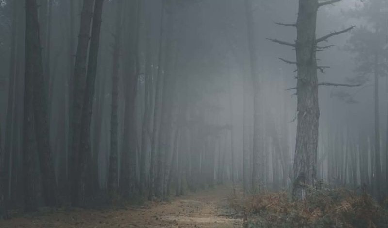 Depression - psychotherapeutische Begleitung durch Heilpraktiker für Psychotherapie mit Privatpraxis in Saarbrücken, Saarland.