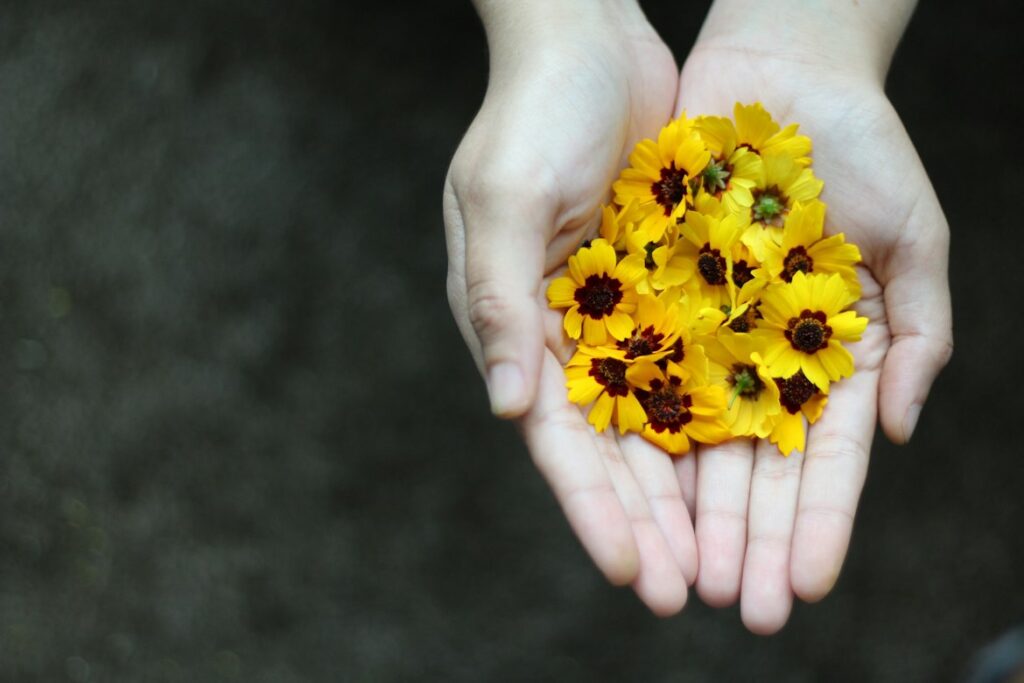 Blumenblüten als Symbolbild für Achtsamkeit: Ein Informationsabend im Rahmen der Woche der Seelischen Gesundheit in der Saarbrücker Praxis von Niritya und Tom, Heilpraktiker für Psychotherapie.